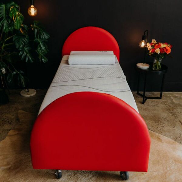 IC280JR Homecare Bed