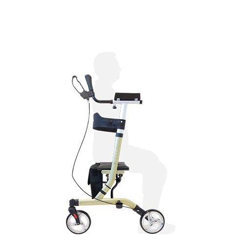 RG4320AA Walking Tutor with Seat