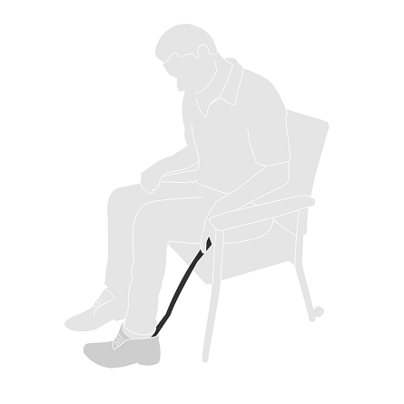 Shoe Horn Dressing Stick