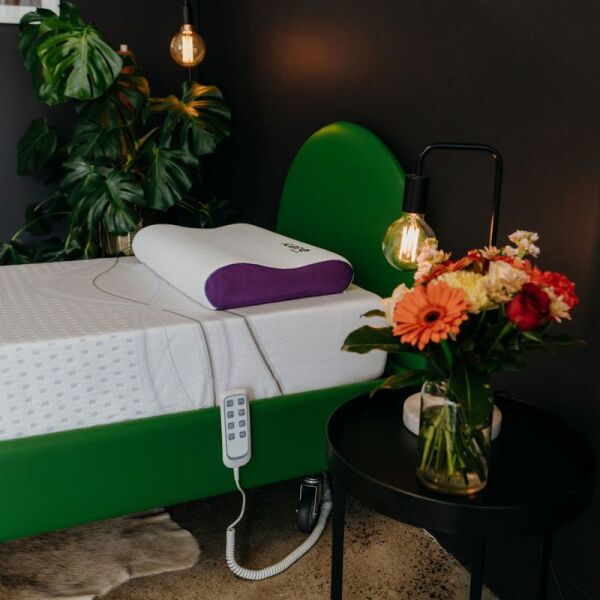 IC280JR Homecare Bed