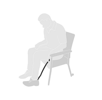 Shoe Horn Dressing Stick
