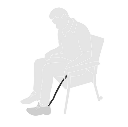 Shoe Horn Dressing Stick